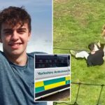 uk-ambulance-staff-viewed-medical-records-of-ex-child-actor-fatally-mauled-by-tiger-without-‘legitimate-reason’:-report