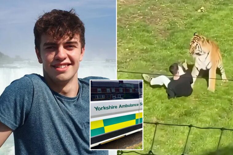 uk-ambulance-staff-viewed-medical-records-of-ex-child-actor-fatally-mauled-by-tiger-without-‘legitimate-reason’:-report