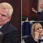alex-murdaugh’s-defense-makes-‘high-risk’-move-to-show-dna-proves-he-didn’t-kill-family,-prosecutor-says