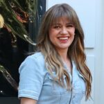 kelly-clarkson-risks-looking-like-‘rich-and-famous-prima-donna’-in-$15k-bird-fight,-expert-says
