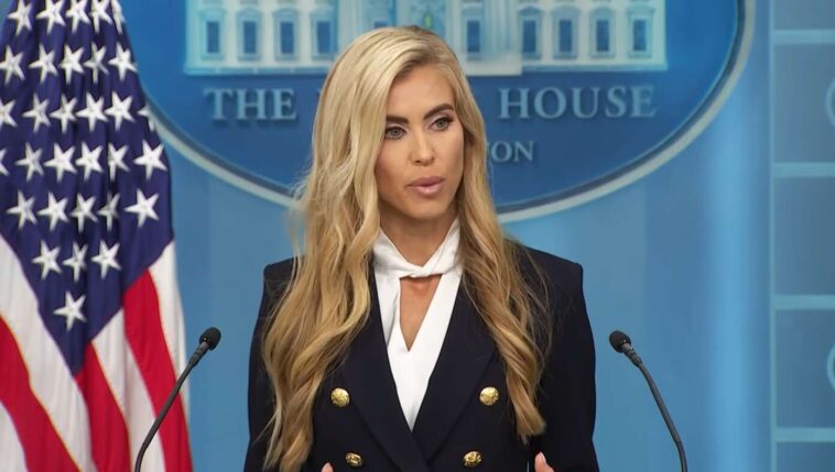 cute:-katie-zacharia-to-dress-up-as-a-lawyer-for-halloween