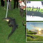 fisherman,-71,-killed-by-12-foot-alligator-while-he-stood-on-shoreline