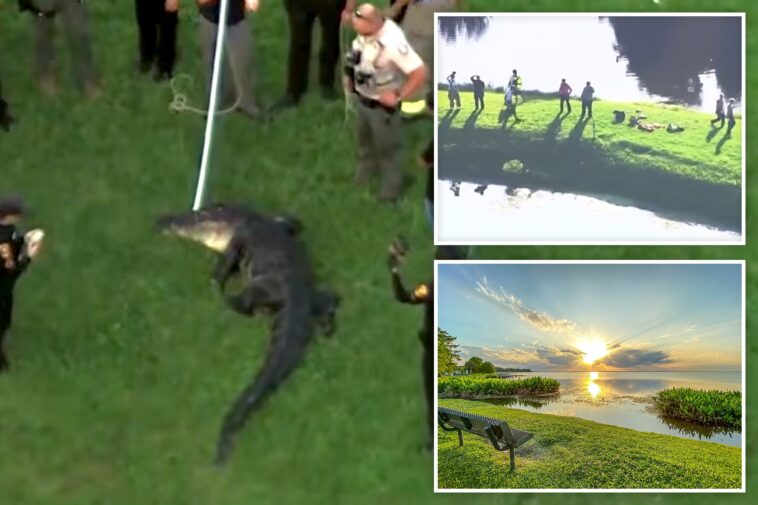 fisherman,-71,-killed-by-12-foot-alligator-while-he-stood-on-shoreline
