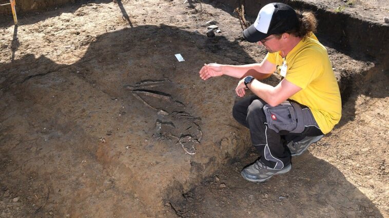 7,000-year-old-bones-uncovered-at-construction-site-in-startling-find