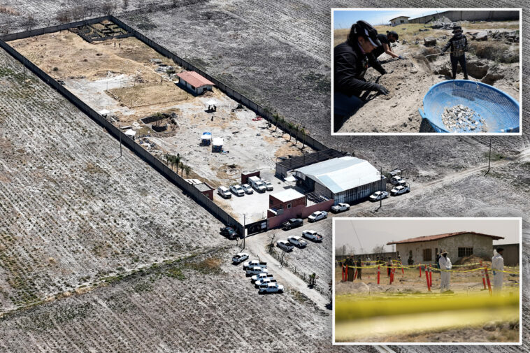 cartel-hitman-earning-$220-weekly-claims-he-incinerated-250-people-at-mexican-ranch
