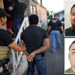 ice-arrests-more-than-130-alleged-gang-members-—-including-violent-ms-13,-tda-suspects-—-in-a-single-week:-dhs