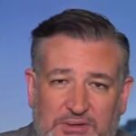 cruz:-‘we’re-witnessing-a-hostile-takeover-of-the-democrat-party-by-communists-and-islamists’
