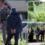 shocking-punishment-for-california-man-who-imprisoned-migrants-on-remote-weed-farm:-‘profound-imbalance-of-power’