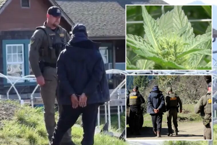 shocking-punishment-for-california-man-who-imprisoned-migrants-on-remote-weed-farm:-‘profound-imbalance-of-power’
