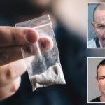 unhinged-drug-fiend-goes-ballistic-after-neighbors-refuse-to-do-cocaine-with-him:-‘offensive-to-his-culture’