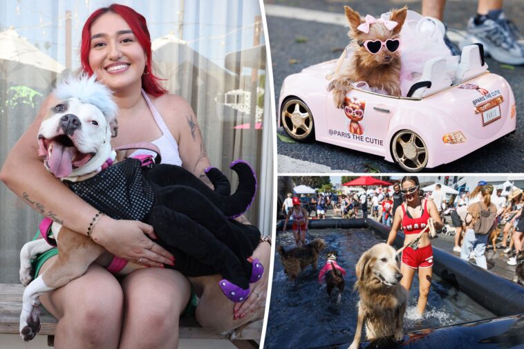 dogs-take-over-santa-monica