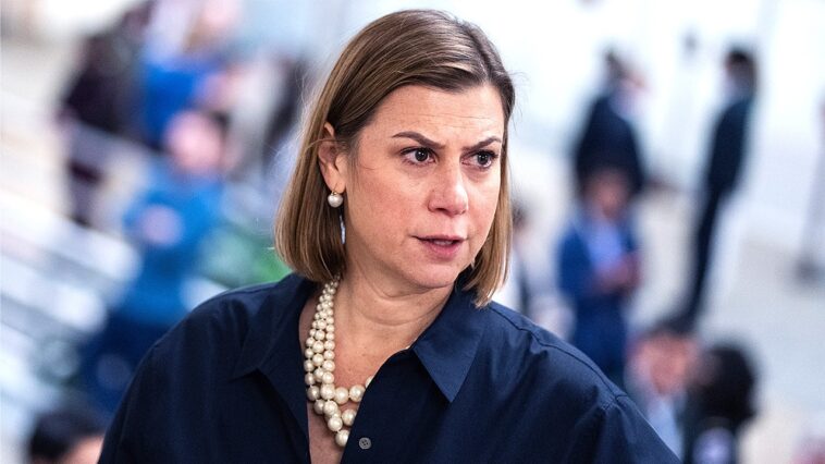 mike-davis:-sen-slotkin-reveals-her-insidious-scheme-to-target-young-conservatives