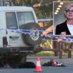 australian-politician-critically-injured-after-being-struck-by-car-outside-her-office