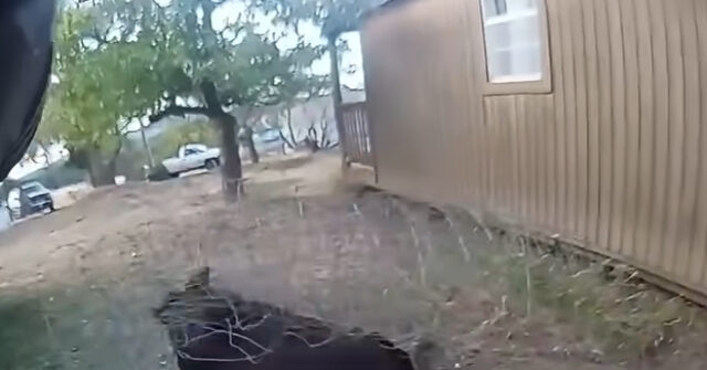 watch:-idaho-deputy-rescues-juvenile-moose-tangled-in-wire