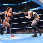wwe’s-shallow-attempts-to-spice-up-nikki-bella-paige-feud-are-missing-the-mark