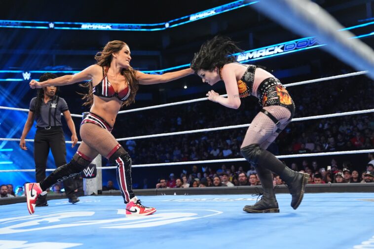 wwe’s-shallow-attempts-to-spice-up-nikki-bella-paige-feud-are-missing-the-mark