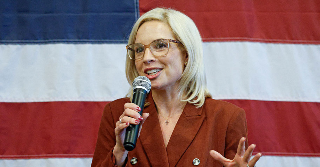 iowa-poll:-republican-ashley-hinson-maintains-lead-against-democrat-josh-turek-in-us.-senate-race