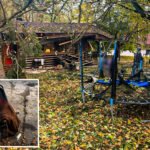 russia-kills-ukrainian-1-year-old-in-stroller-during-strike-on-park-—-as-civilian-deaths-surge-85%