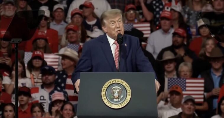 (video)-trump-trolls-protesters-at-rally-as-crowd-chants-“usa”-–-“now-mom-and-dad-slap-him-around,-they-say,-‘i-voted-for-that-man’”