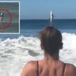 monster-great-white-leaps-out-of-ocean-off-scenic-monterey-bay-beach