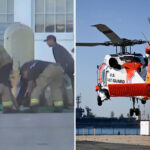 gruesome-shark-attack-details-emerge-after-failed-migrant-smuggling-attempt-off-california-coast
