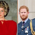 princess-diana-feared-prince-harry-would-‘wither’-in-prince-william’s-shadow:-expert