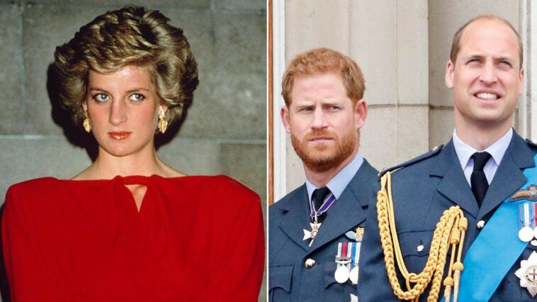 princess-diana-feared-prince-harry-would-‘wither’-in-prince-william’s-shadow:-expert