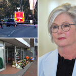 australian-lawmaker-loses-leg-after-being-rammed-twice-in-vehicle-attack