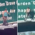 topless-maniac-sparks-california-freeway-chaos-by-scaling-bridge,-snarling-traffic