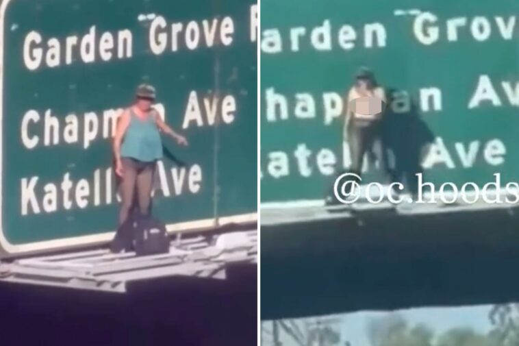 topless-maniac-sparks-california-freeway-chaos-by-scaling-bridge,-snarling-traffic