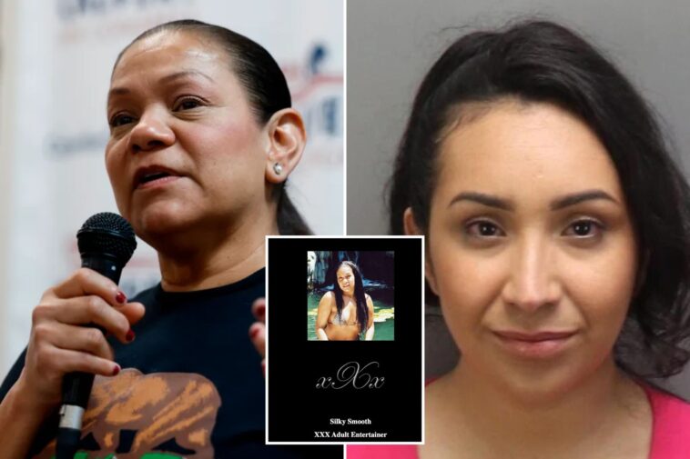 sex,-duis-and-dirty-tricks:-inside-california’s-nastiest-election-showdown