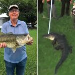 florida-fisherman-slipped-and-fell-after-hearing-12-foot-alligator-creeping-up-on-him:-‘it-just-snatched-him’