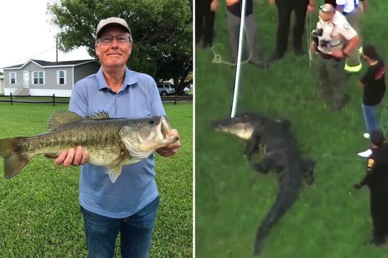 florida-fisherman-slipped-and-fell-after-hearing-12-foot-alligator-creeping-up-on-him:-‘it-just-snatched-him’