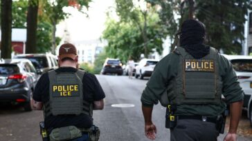 ice-fires-back-after-cnn-portrays-aggressive-‘rioter’-as-a-mere-‘resident’-of-california:-‘attempted-to-impede’