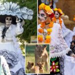 fresno-zoo-cancels-popular-mexican-celebration-to-protect-immigrants