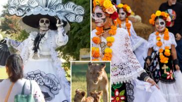 fresno-zoo-cancels-popular-mexican-celebration-to-protect-immigrants