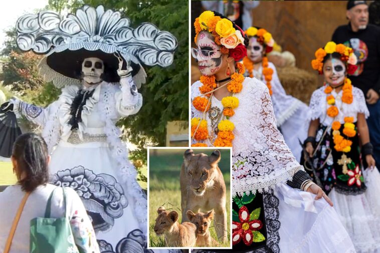 fresno-zoo-cancels-popular-mexican-celebration-to-protect-immigrants