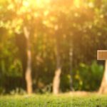 sheriff-suspects-religious-motive-after-elderly-man-with-a-cross-in-his-yard-is-brutally-murdered