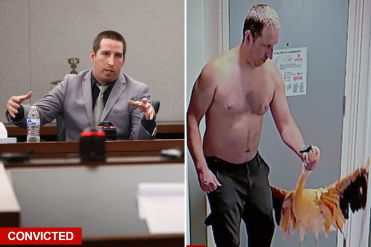 canadian-‘moron’-convicted-of-animal-cruelty-for-stealing-flamingo-from-vegas-hotel-after-downing-‘30-to-40’-beers