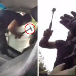 illegal-honduran-migrant-allegedly-attacks-ice-agents-with-hammer-during-nj-traffic-stop:-feds