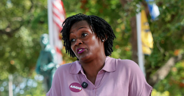 dsa-member-angie-nixon-brags-at-rally-about-getting-arrested:-‘they-call-me-radical-as-hell!’