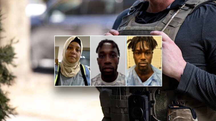 dhs-launches-nationwide-ice-operation-targeting-illegal-immigrants-accused-of-snap-food-stamp-fraud