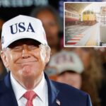 americans-who-moved-to-europe-after-trump-win-now-say-they-regret-leaving