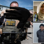 dhs-launches-nationwide-ice-operation-targeting-illegal-immigrants-accused-of-snap-food-stamp-fraud