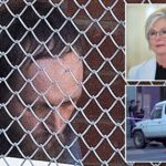 australian-politician-helen-haines-loses-both-legs-after-car-attack