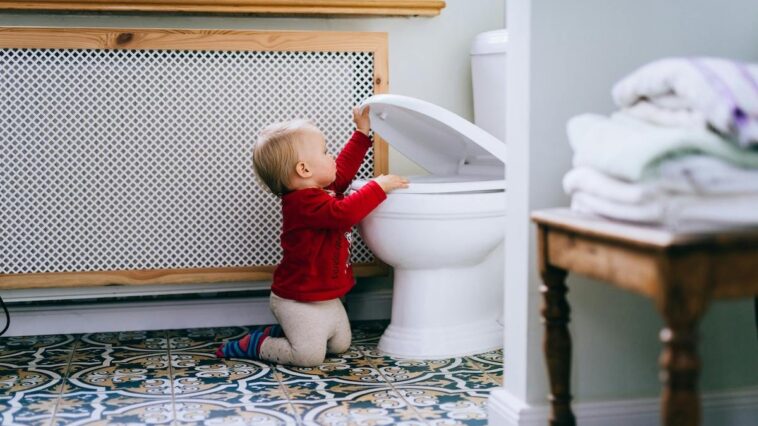 i’ve-potty-trained-four-kids-here’s-what-i-wish-i-knew-before-i-started.