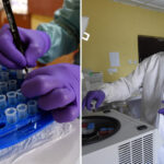 nigeria-becomes-fourth-african-country-to-report-ebola-case-—-its-first-in-over-a-decade