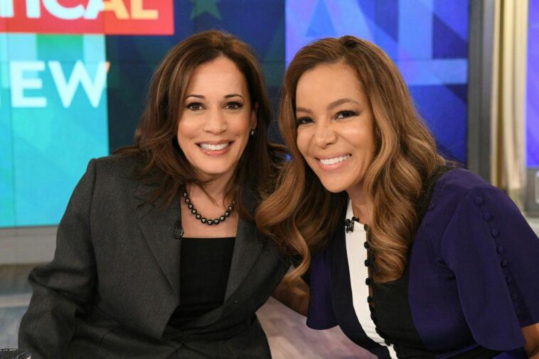 ‘the-view’-hosts-admit-it:-the-question-that-haunted-kamala-was-supposed-to-help-her
