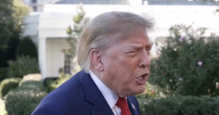 watch:-trump-eviscerates-cnn’s-kaitlan-collins-and-abc:-“you’re-a-low-iq-person,-you’re-a-dummy!”-–-“are-you-a-stupid-person?-you’re-a-stupid-person”