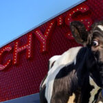 photo:-woman-sues-restaurant-chain-after-allegedly-finding-cow-tooth-in-‘democrat’-taco